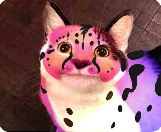 Эмодзи Cats Memes
