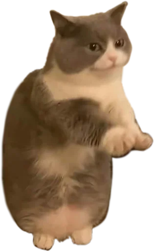 Эмодзи Китятка