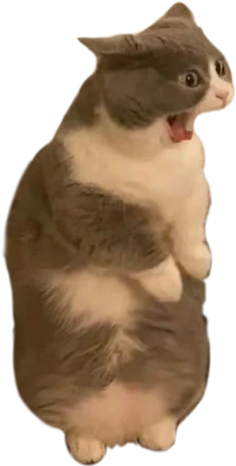 Эмодзи Китятка