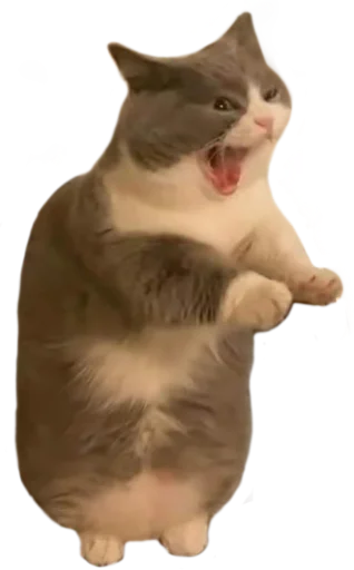Эмодзи Китятка