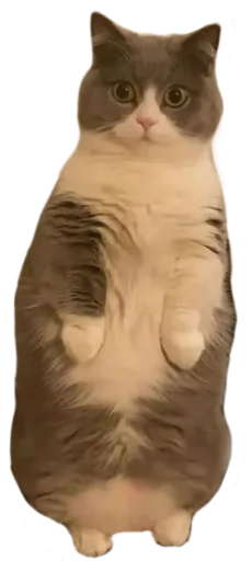 Эмодзи Китятка