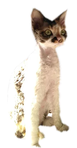 Эмодзи Котярик