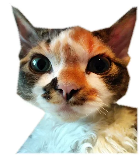 Эмодзи Котярик