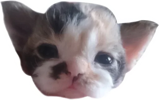 Эмодзи Котярик