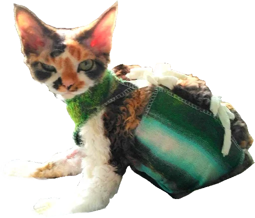 Эмодзи Котярик