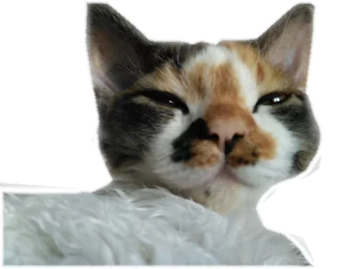 Эмодзи Котярик