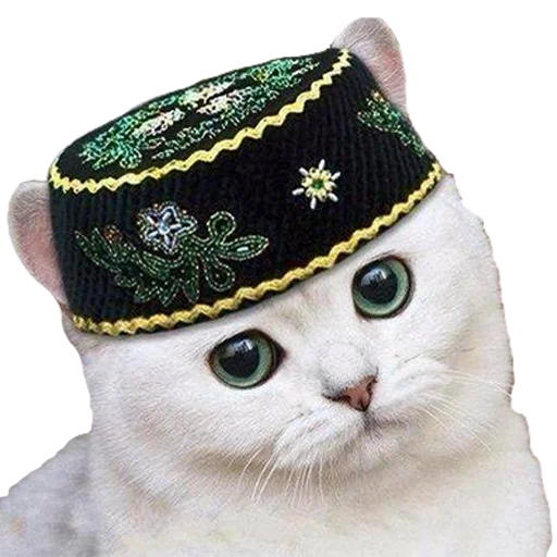 Эмодзи Kotiashi