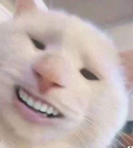 Эмодзи Котики