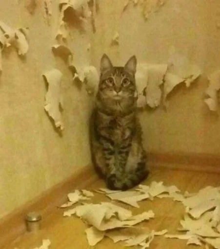 Эмодзи Котики