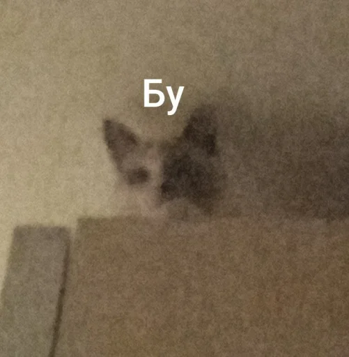 Эмодзи Котики