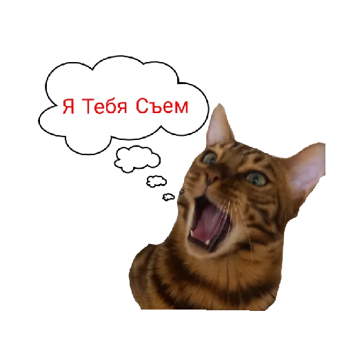 Эмодзи Котик лексус