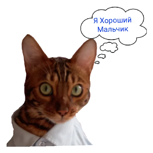 Эмодзи Котик лексус