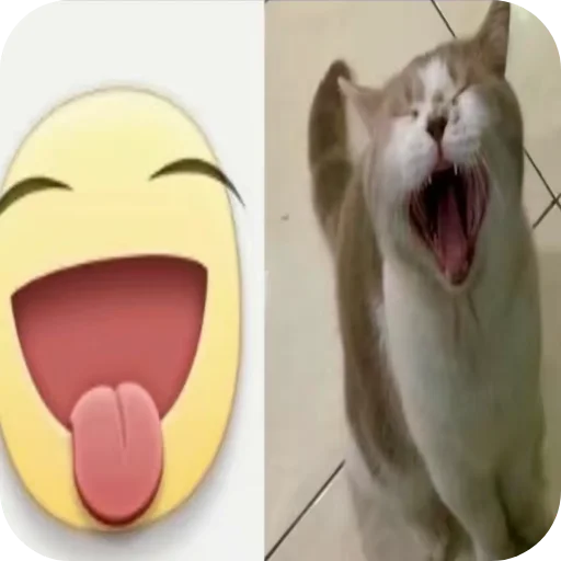 Эмодзи Memes