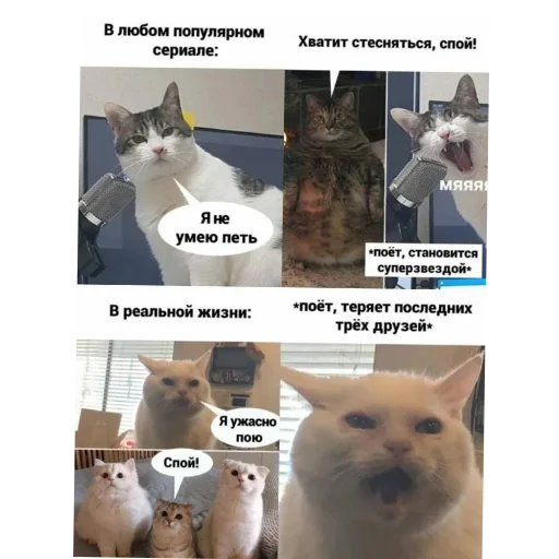 Эмодзи Котики и фразочки