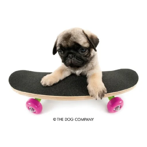 Эмодзи Animals