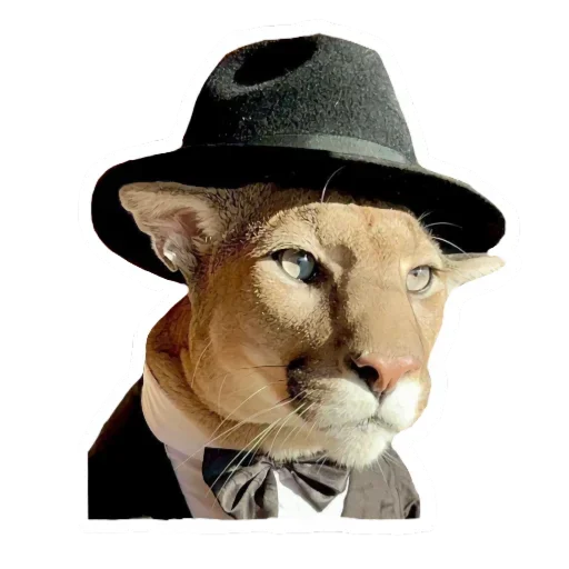 Эмодзи Мемная Пума