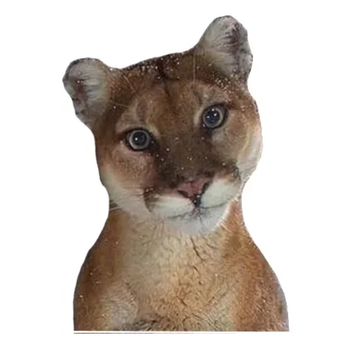 Эмодзи Мемная Пума