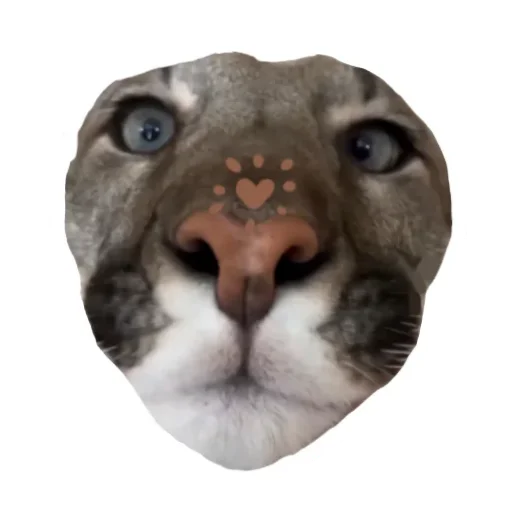 Эмодзи Мемная Пума