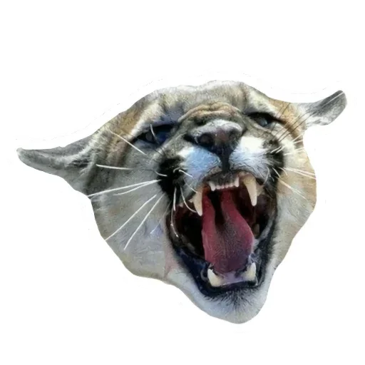 Эмодзи Мемная Пума