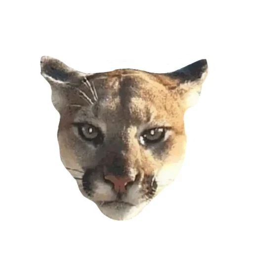 Эмодзи Мемная Пума