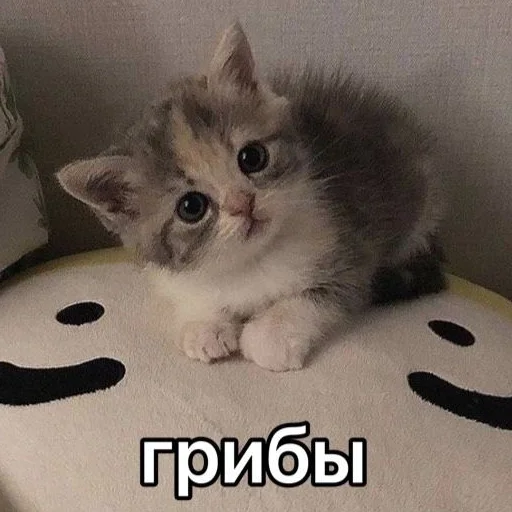 Эмодзи Мяу