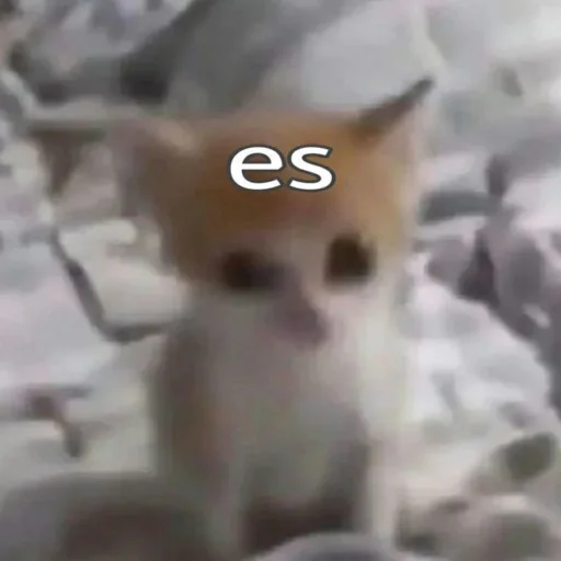Эмодзи Мяу