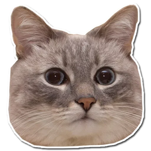 Эмодзи Котончик