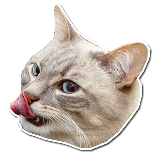 Эмодзи Котончик