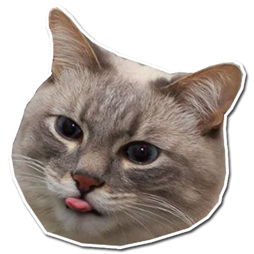 Эмодзи Котончик