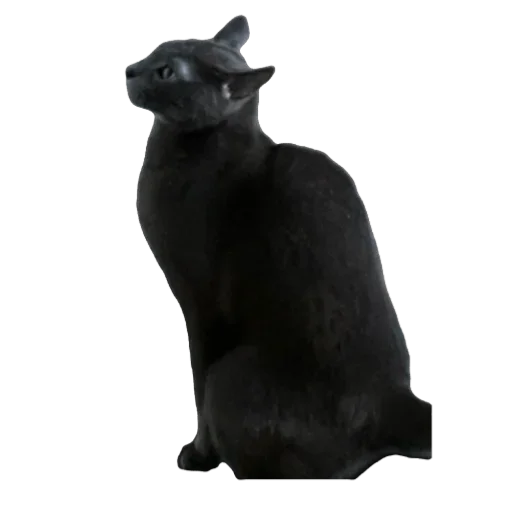 Эмодзи Котские коты