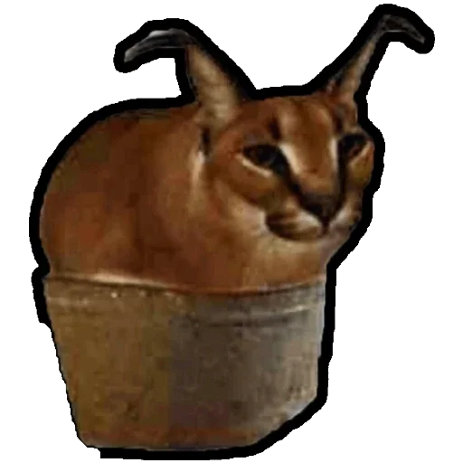 Эмодзи Коты ъеъ