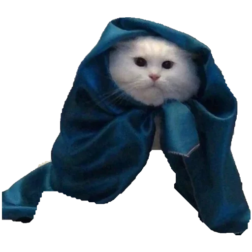 Эмодзи Коты ъеъ