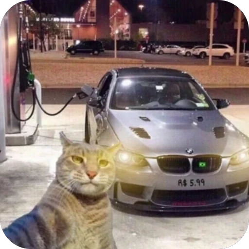 Эмодзи Коты и машины