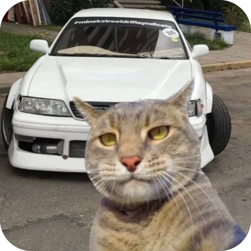 Эмодзи Коты и машины