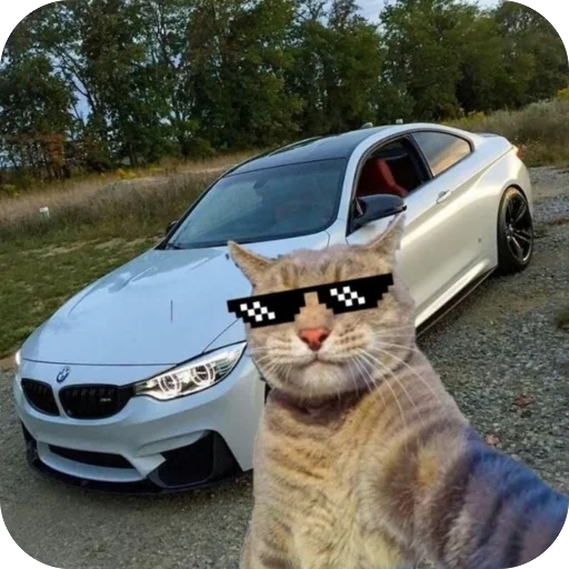 Эмодзи Коты и машины