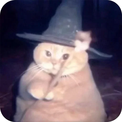 Эмодзи котячьи пикчи