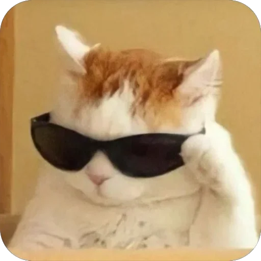 Эмодзи котячьи пикчи