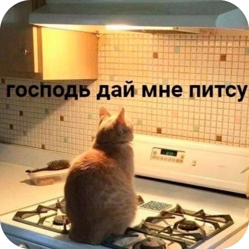 Эмодзи котячьи пикчи