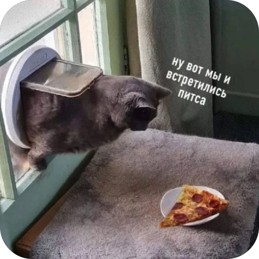 Эмодзи котячьи пикчи