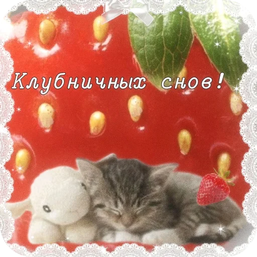 Эмодзи Котячие открытки