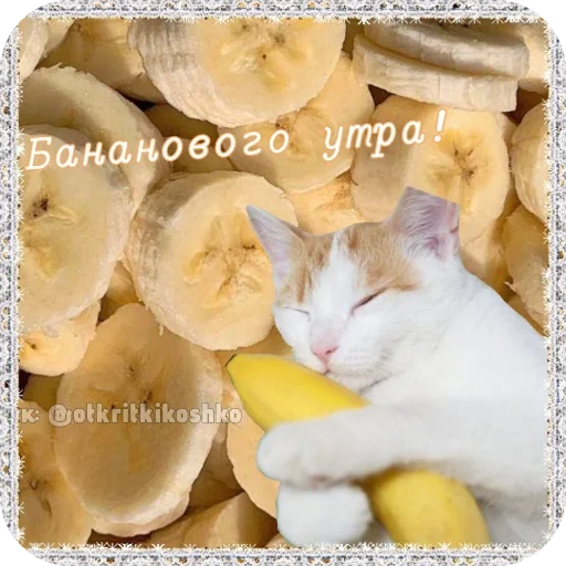 Эмодзи Котячие открытки