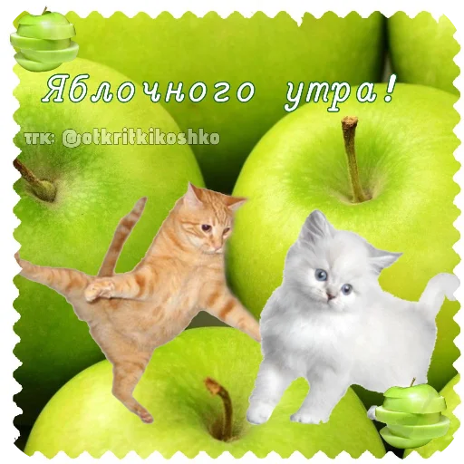 Эмодзи Котячие открытки