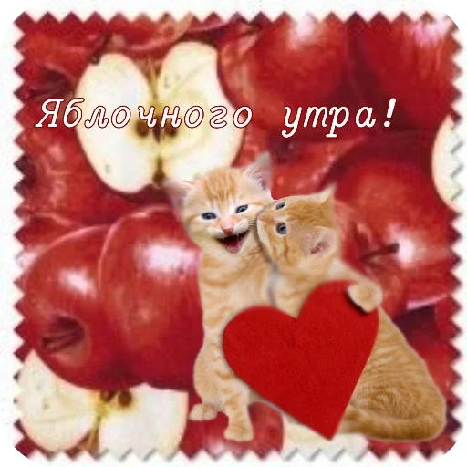 Эмодзи Котячие открытки