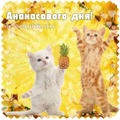 Эмодзи Котячие открытки