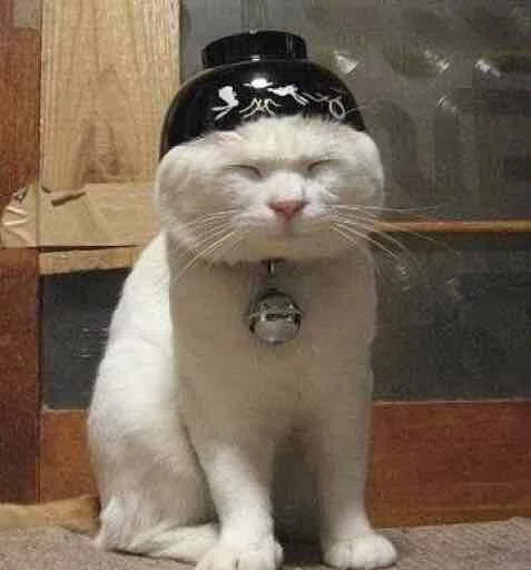 Эмодзи Kotya kot