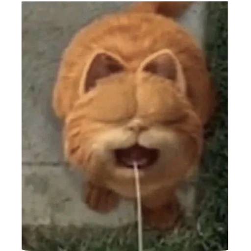 ?