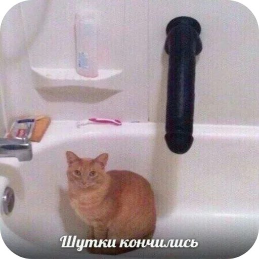 Эмодзи Котыкы