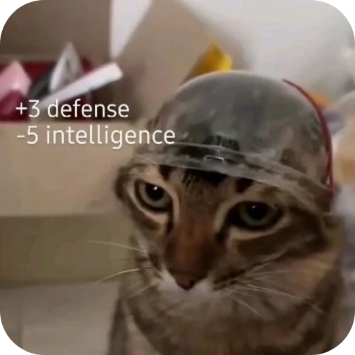Эмодзи Котыкы