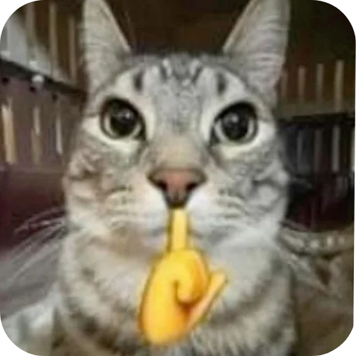 Эмодзи Котыкы