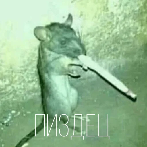 Эмодзи Крыски для переписки
